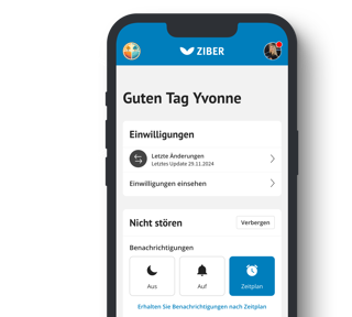 ZT Dashboard DE
